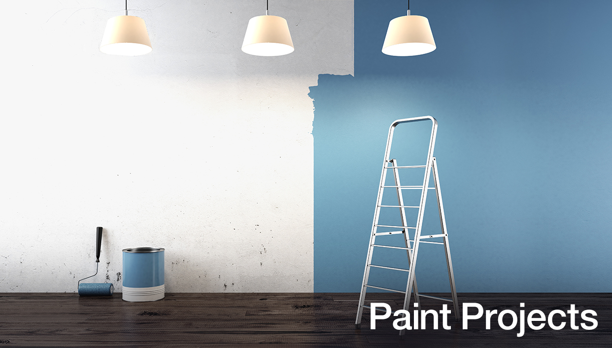 Paint Projects