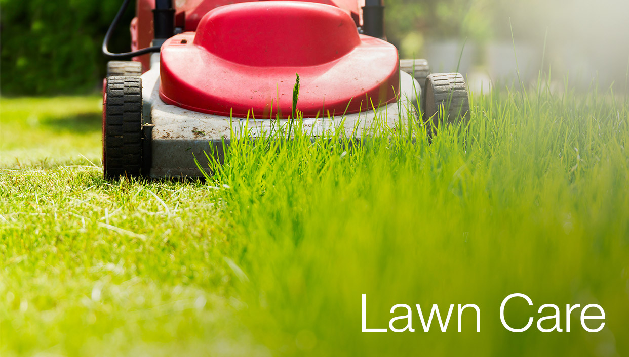Lawn Care
