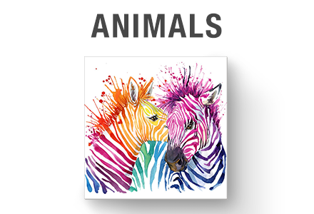 Animals