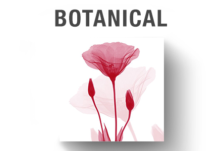 Botanical