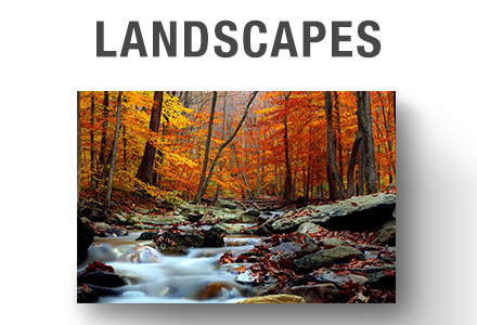 Landscapes