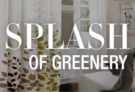 Splash of Greenery