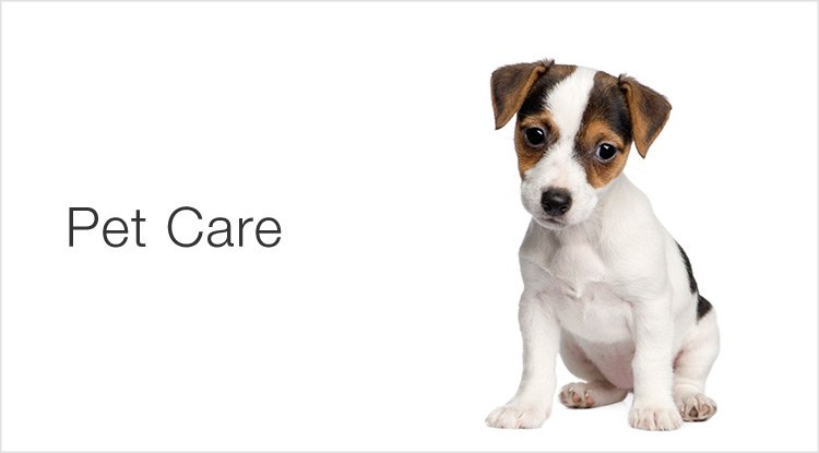 Pet Care