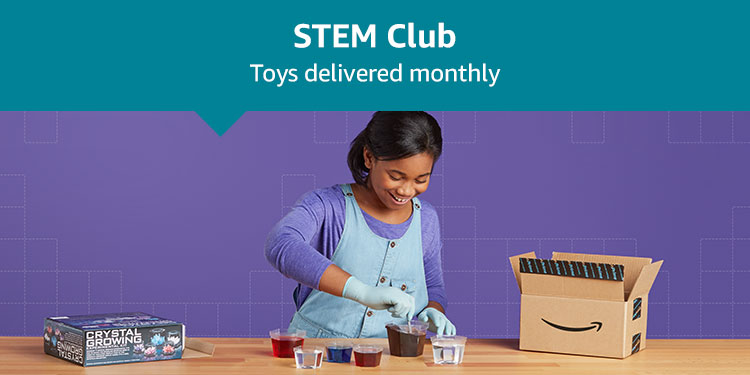 Stem Club: Toys delivered monthly