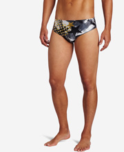 Briefs