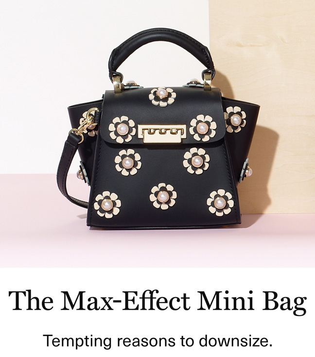 The Max-Effect Mini Bag