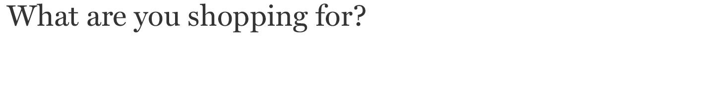 What are you shopping for?