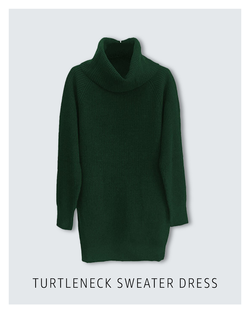 Turtleneck sweater dress