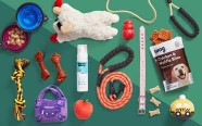 Pet gifts