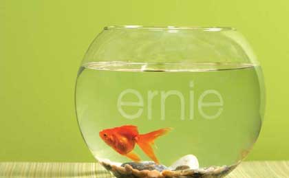 Dual-opposing passive radiators lie at the core of this small speaker’s ability to reproduce deep, full sound