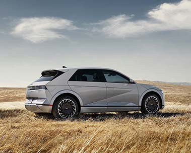 Dog grooming by Trish and kassie