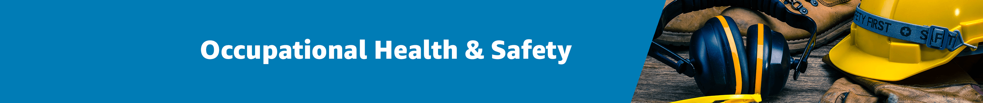 Occupational Health and Safety