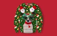 Ugly sweaters