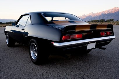 case study autoplicity