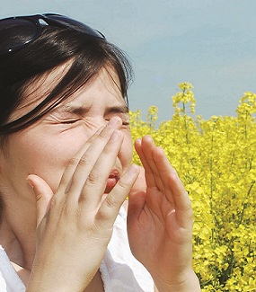 allergens
