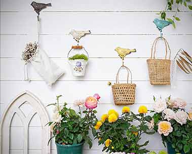 Get your garden in shape