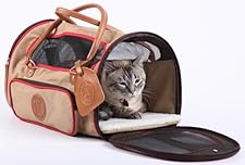 Cat in Duffle
