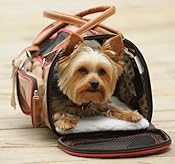 Dog in Duffle
