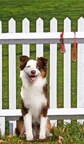 Premier KeepSafe Break-Away Collar