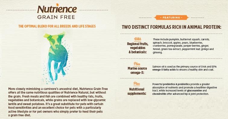 good food for your dog