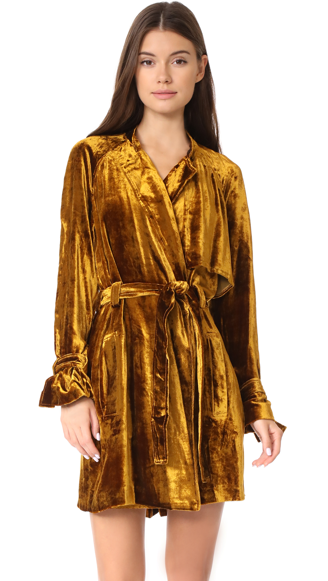 alc velvet dress