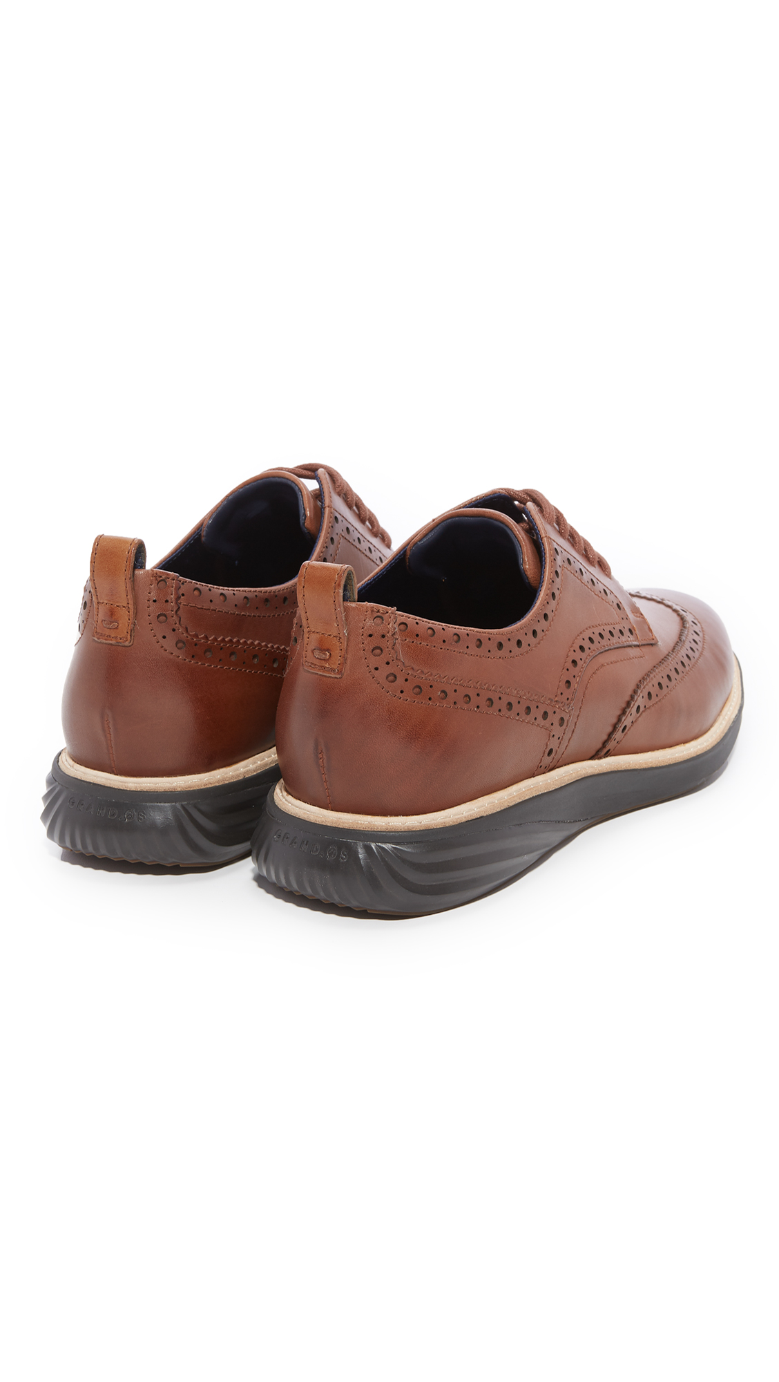 grand evolution shortwing