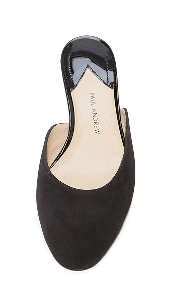 PAUL ANDREW Alba Slides