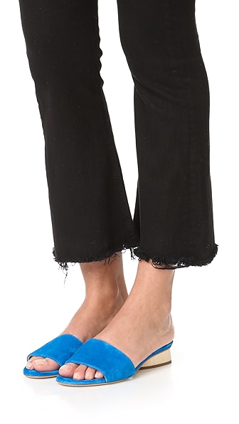 PAUL ANDREW Lina Slides