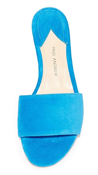 PAUL ANDREW Lina Slides