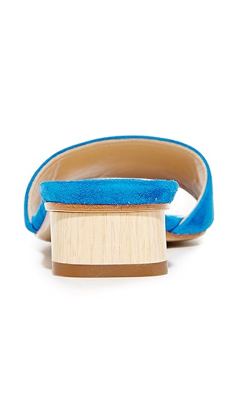 PAUL ANDREW Lina Slides