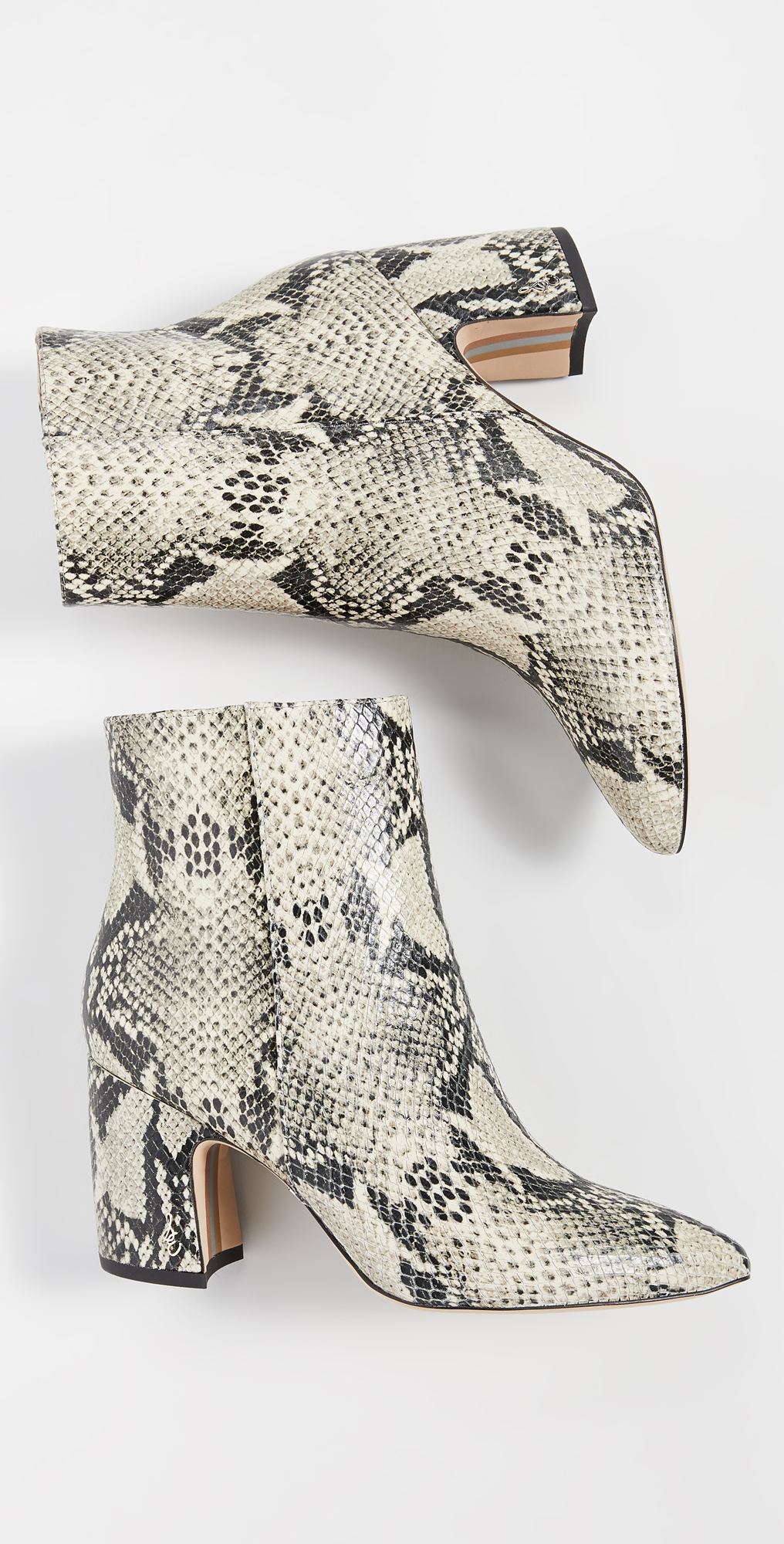 sam edelman hilty snake