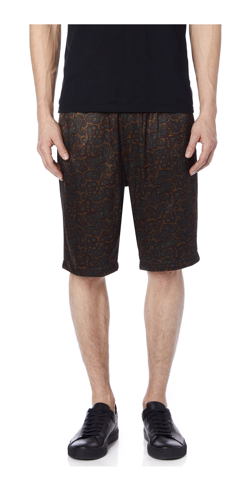stussy paisley shorts