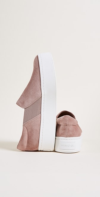 vince warren hydrangea