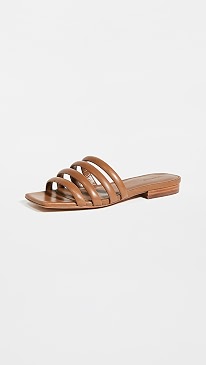 Vince - Zahara Slides