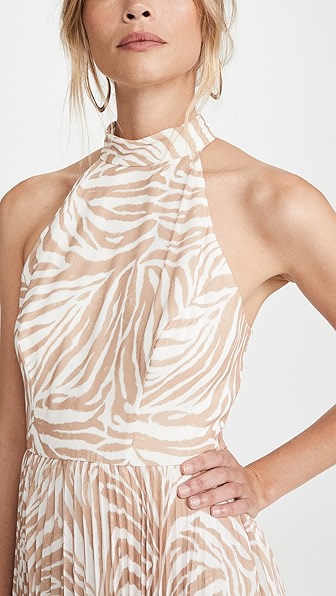 Zimmermann Sunray Picnic Dress In Sand Zebra
