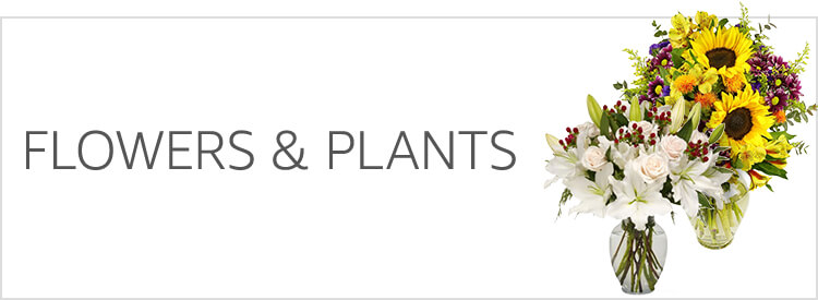 Flowers & Plants