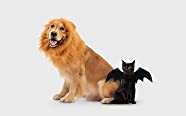 Pet Costumes