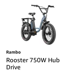 Rooster 750W Hub Drive