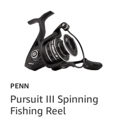 Pursuit III Spinning Fishing Reel