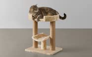 Cat trees