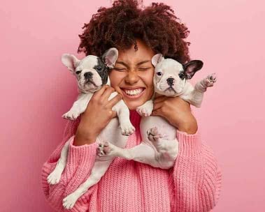 See more from Amazon Pets