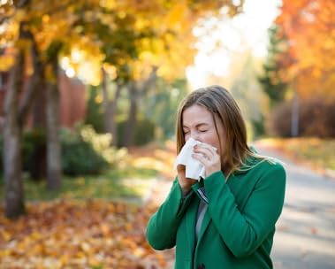 Flu season essentials