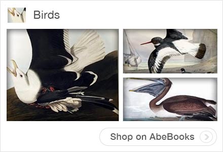 Bird Art Collections on AbeBooks.com