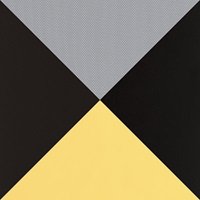 graco classic ride 50