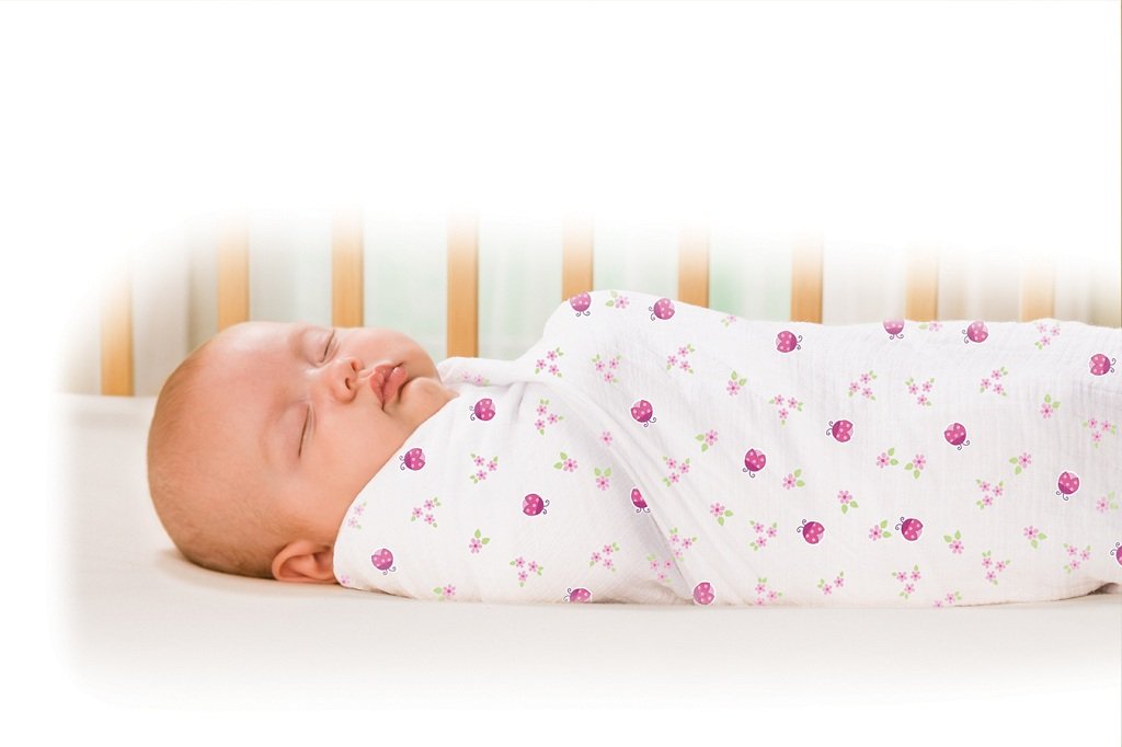 Summer Muslin Swaddling Blanket 3Pack, Ladybug Garden Baby