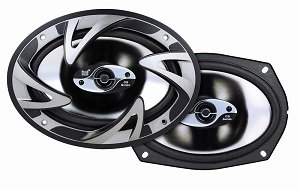 Insert Alt Text here