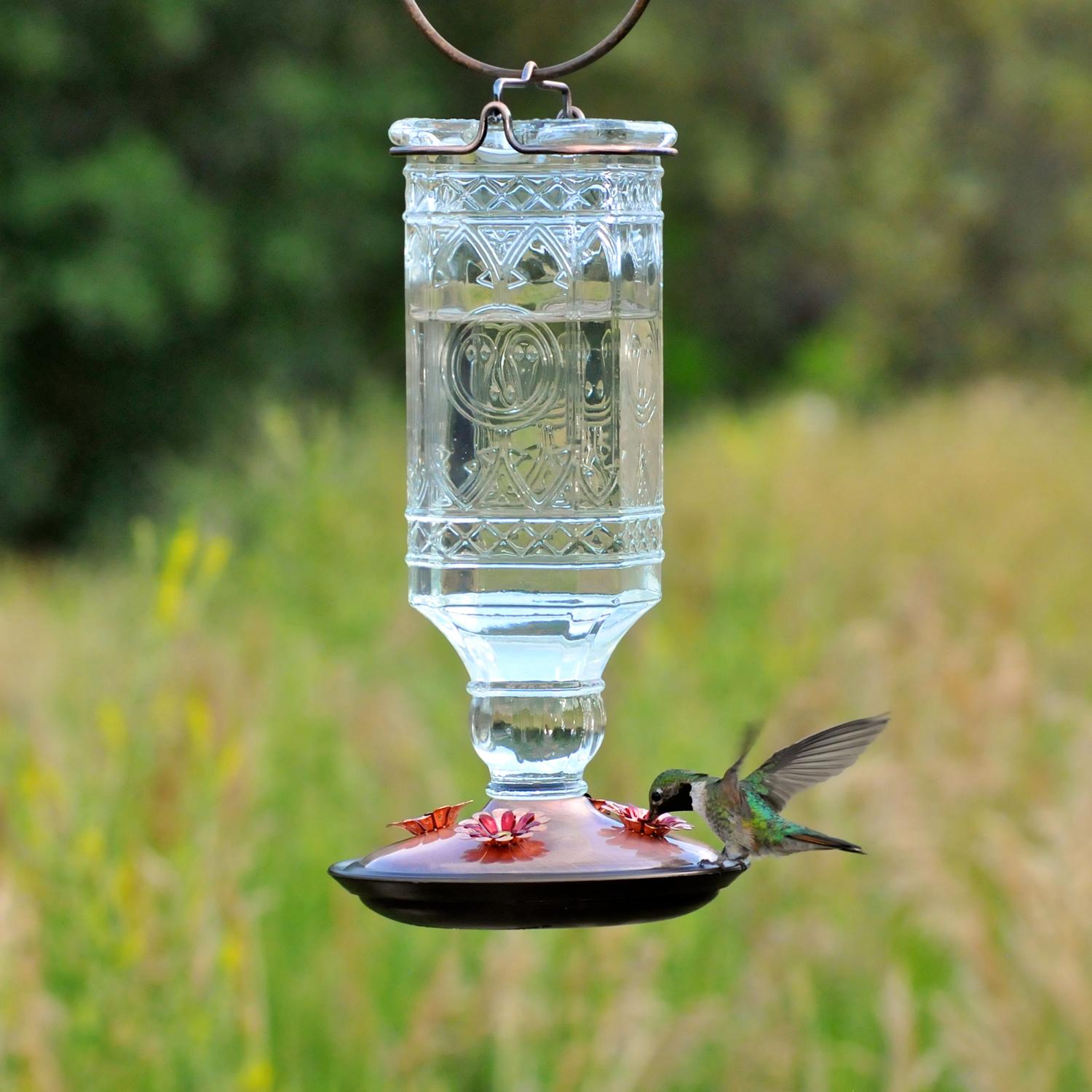 PerkyPet 81182 Glass Antique Bottle Hummingbird Feeder