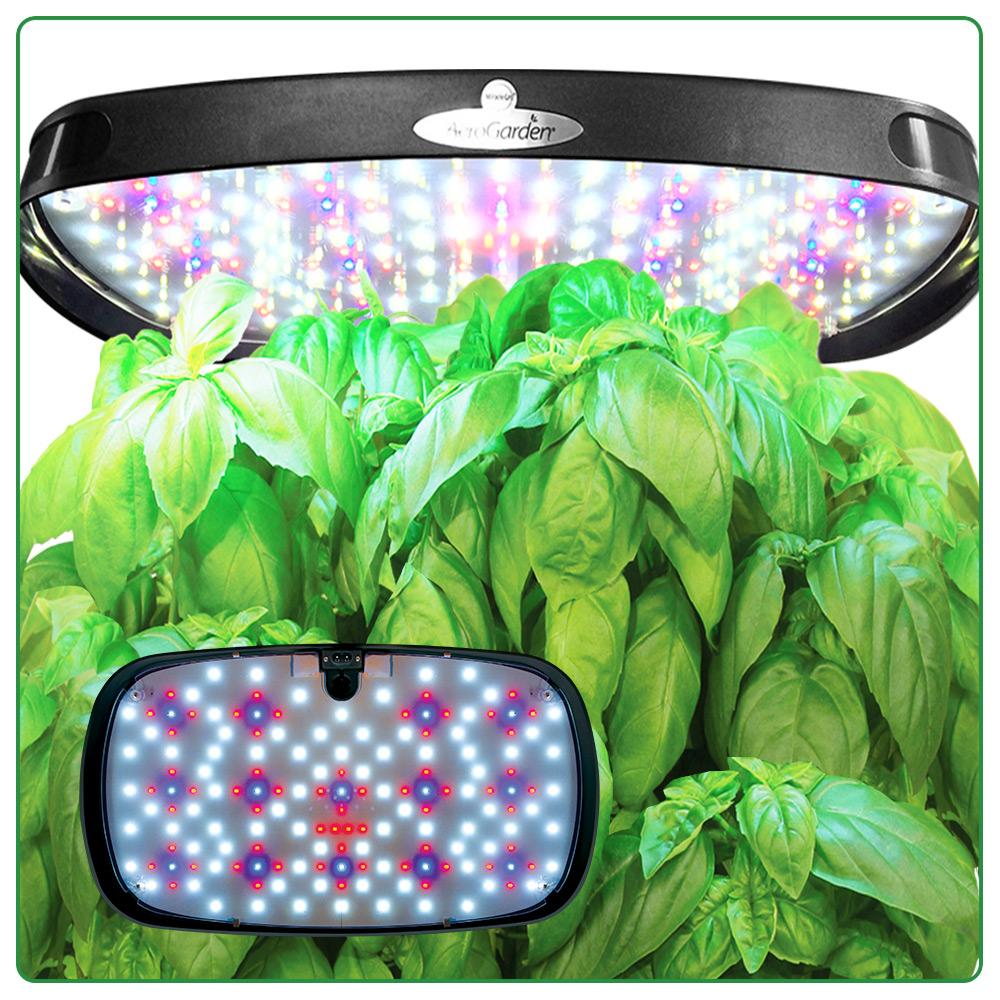 AeroGarden 7 LED Indoor Garden with Gourmet Herb Seed Kit