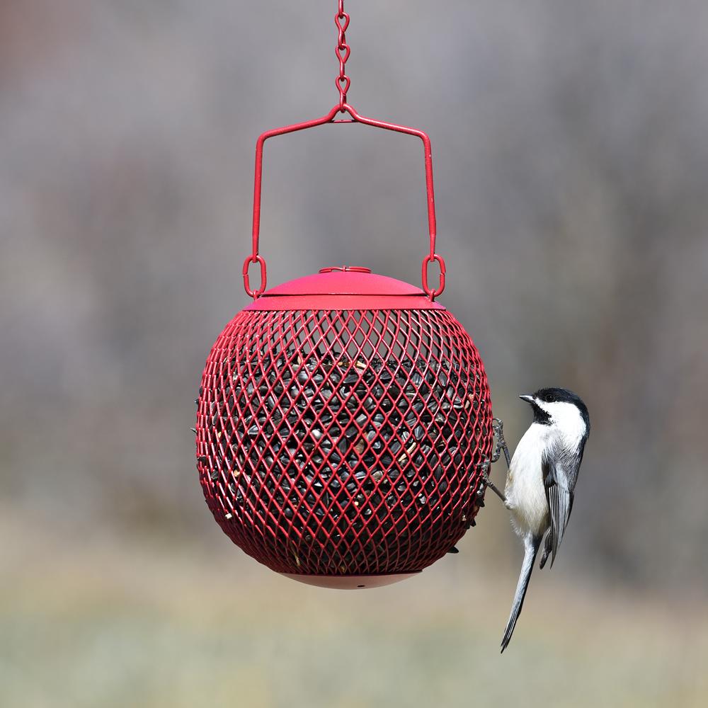 No/No RSB00343 Red Seed Ball Wild Bird Feeder Garden