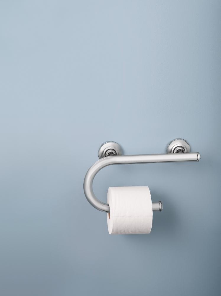 Moen LR2352DBN Toilet Paper Holder with Grab Bar, Brushed Nickel Shower Wall Grab Bars